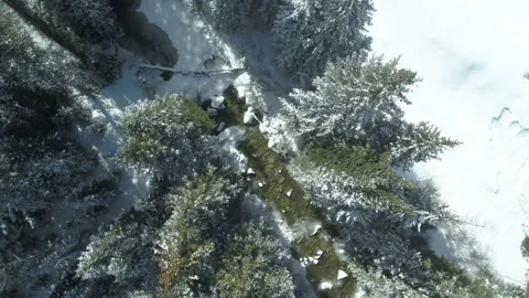Top down aerial rotating over icy snowy creek and tops of snowy pine trees Stock Footage 203928289