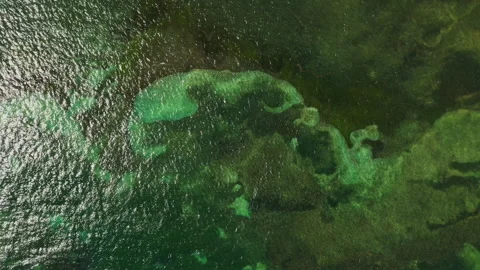 Top-down aerial of shallow reef waters off Saint Lucia's coast, revealing 스톡 동영상 344994231