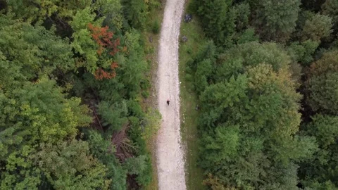 Top down aerial shot of an adventurous man hiking on a mountainside road Stock Footage 194554370