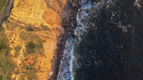 Top-down aerial shot of Bluff Cove Stock Footage 310035251