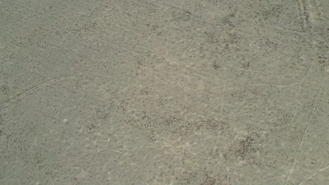Top-down aerial shot of dry, textured scrubland and grassy earth. Stock Footage 331176430