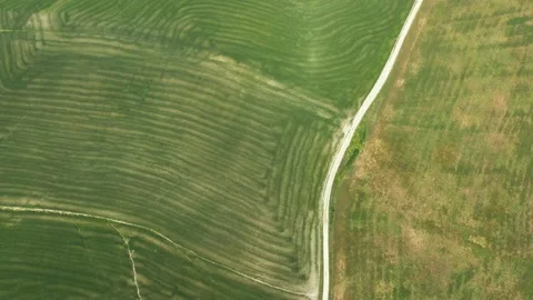 Top Down aerial shot of fields Stock Footage 131022801