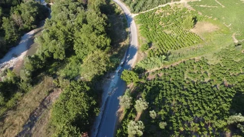 Top down aerial shot of a forest highway next to crops and a river Stock Footage 343962888