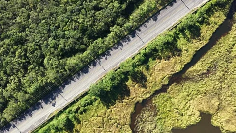 Top-Down Aerial Shot of Highway Between Forest and Wetland Environment Видео 344583883