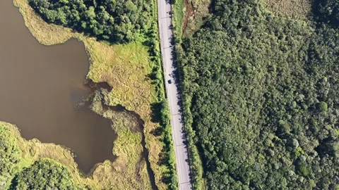 Top-Down Aerial Shot of Highway and Vehicle Between Forest and Wetland Lake Stockbeeldmateriaal 344585562