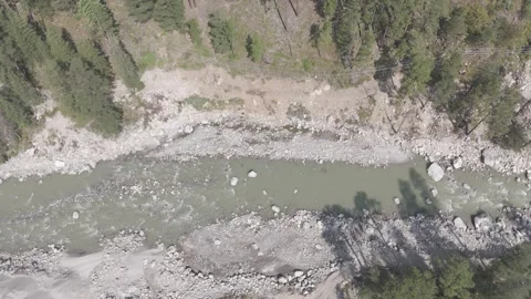 Top-Down Aerial Shot of Parvati River with Autumn Pine and Deodar Trees Stock-Footage 321107421