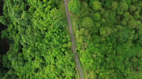 Top down aerial shot of paved walking trail through tropical jungle in Bali Stock Footage 343159261