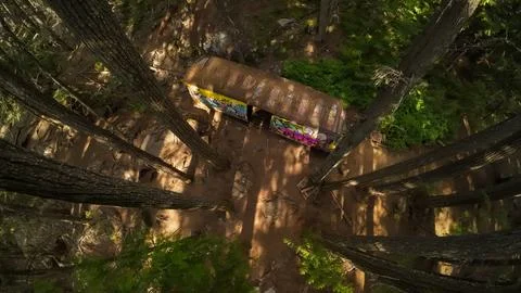 Top down aerial shot of a rusty graffiti train car framed by forest trees Stock-Fotos
