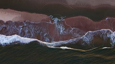 Top-Down Aerial Shot of Waves Crashing onto a Sand Beach in Early Morning Light Stock Footage 311166630