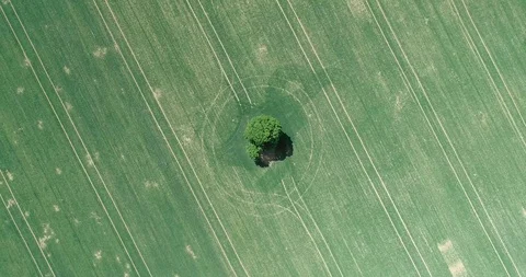 Top-down aerial spinning while descending down to tree. Stock Footage 108170358