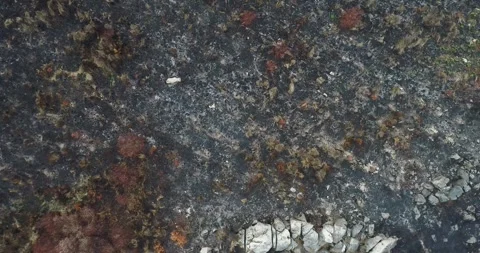 Top down aerial texture of scorched earth and ash The Concept of Desolation Vídeo Stock 323562955