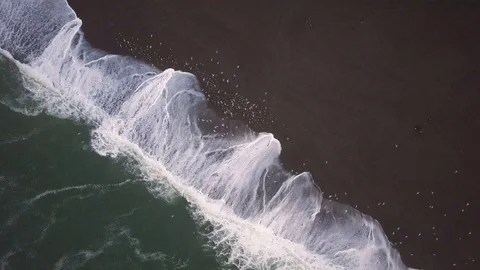 Top-down Aerial Timelapse of Ocean Birds and Waves Stock Footage