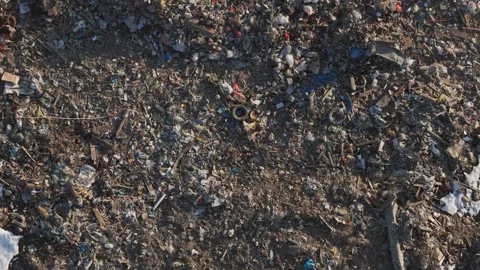 Top-down aerial top down view cows walk feed from dense domestic waste junk.. Vídeos de archivo 333293604