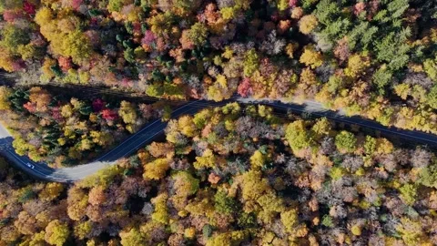 Top Down Aerial Tracking of Car on Road in Mont-Tremblant Indian Summer 库存影片 334936077
