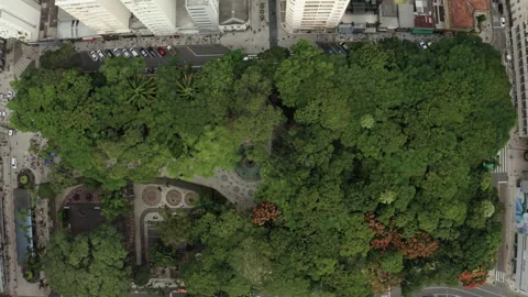 Top-Down Aerial Tracking Over Curitiba Square and Streets Stock Footage 340536108