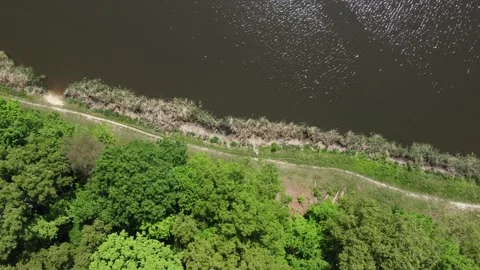Top-Down Aerial Tracking Shot of Forest Path and Lake Shoreline Stock Footage 341136837