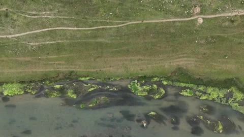 Top Down Aerial Tracking View of Natural River Bank and Parallel Worn Footpaths Video stock 331577557