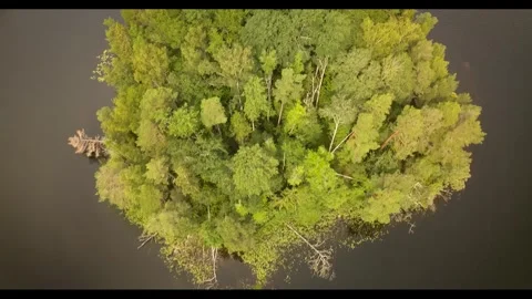 Top down aerial of tree covered island in calm lake Stock Footage 257339614