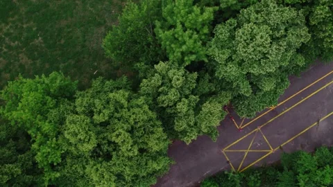 Top down aerial of the trees in park, 4k Stock Footage 197407847