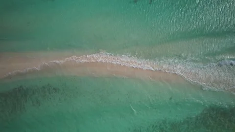 Top Down Aerial of Turquoise Cayo de Agua Sandbar Vidéo 336745998