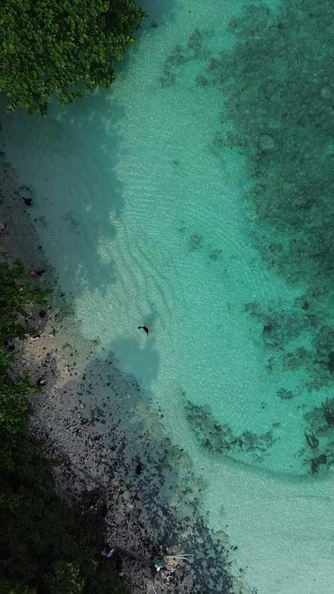 Top Down Aerial Of Turquoise Reef Lagoon With Lone Swimmer Stock Footage 337129279