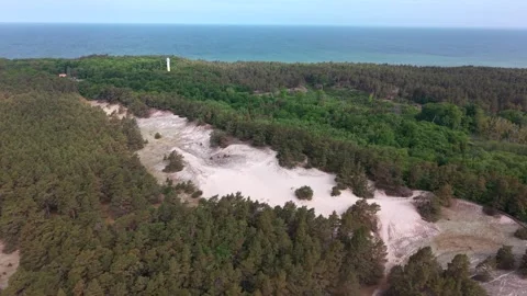 Top-down aerial of undulating sand dunes between pine trees near the Baltic Sea 库存影片 348785764