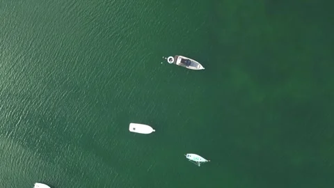 Top-down aerial view of anchored boats in turquoise bay, Miami Stock Footage 340532109
