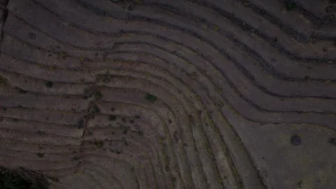 Top-down aerial view of ancient curved Incan agricultural terraces carved into Stock Footage 346632195