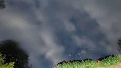 Top down aerial view of autumn lake lifting up. Vídeos de archivo 338285233
