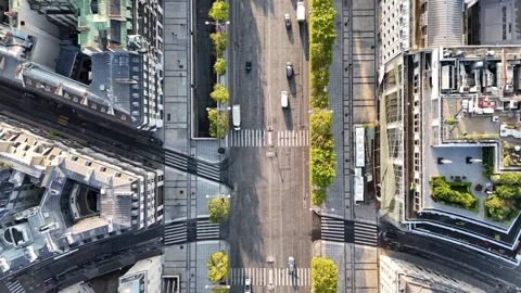 Top-down aerial view of Avenue des Champs-Elysees in Paris, France Stock Footage 304431198