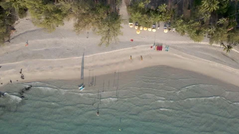 Top down aerial view of beach with tourists Stock Footage 154452013