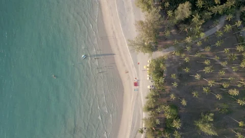 Top down aerial view of beach with tourists Stock Footage 154454241