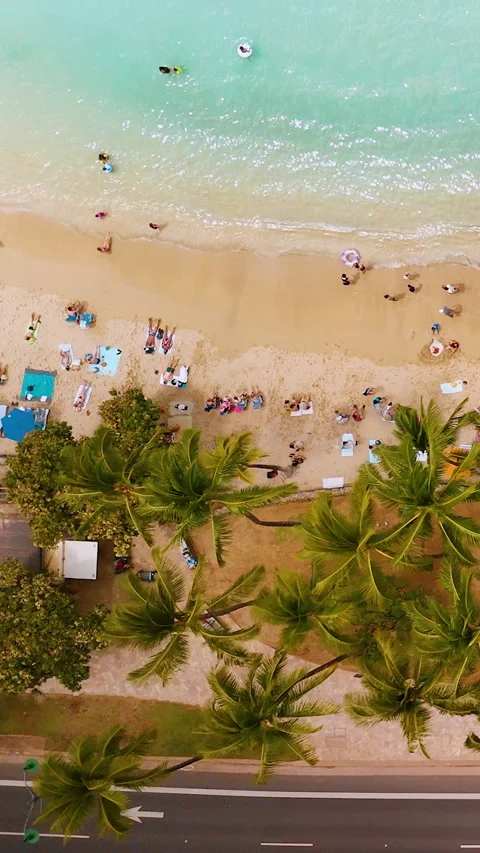 Top down aerial view of beach with colorful umbrellas. Vertical video. Stock Footage 328931858