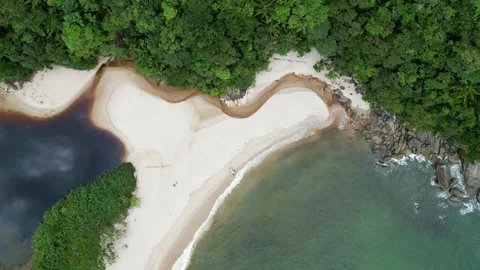 Top Down Aerial View of Beach, Lagoon and Rainforest Meeting Point, Brazil Vídeos de archivo 334614086