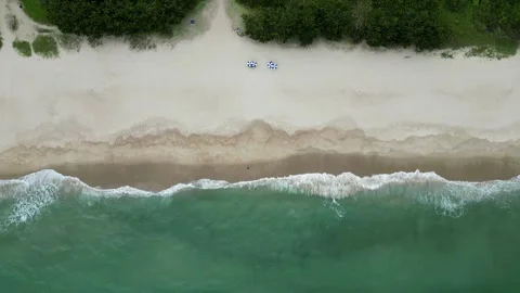 Top Down Aerial View of Beach Umbrellas on Sandy Shore with Waves, Brazil Vídeos de archivo 334614090
