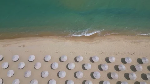 Top Down Aerial View of Beach Umbrellas on Sandy Coast and Sea Vídeo Stock 339169590