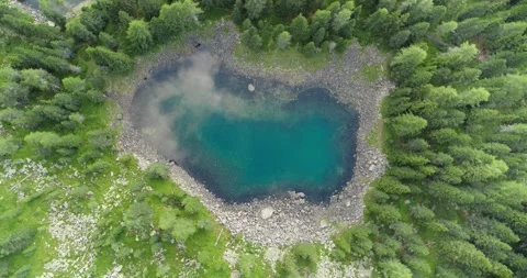 Top down Aerial view of beautiful lake in the Alps surrounded by tall trees Stock Footage 197445593