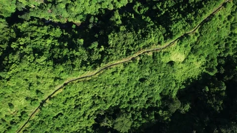 Top-down aerial view of beautiful walking trail on the crest of green hills 스톡 동영상 239040138