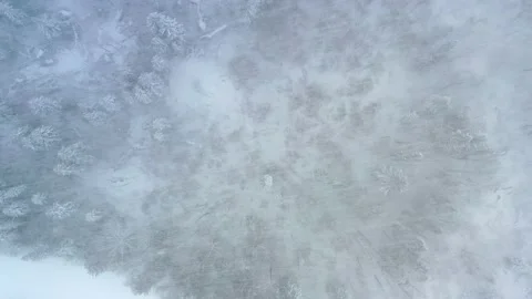 Top Down Aerial View of a Blizzard in a Dense Forest Vídeo Stock 134582768