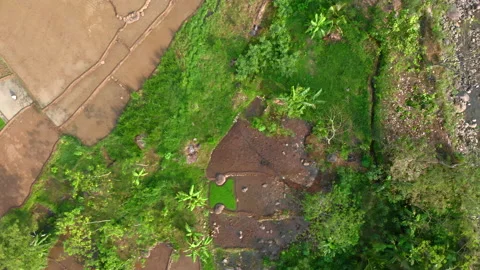 Top down aerial view brown farm field pattern and riverside Stock Footage 155641494