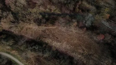 Top down aerial view of a brown spring nature scene in a public park in Mar.. 스톡 동영상 244217572