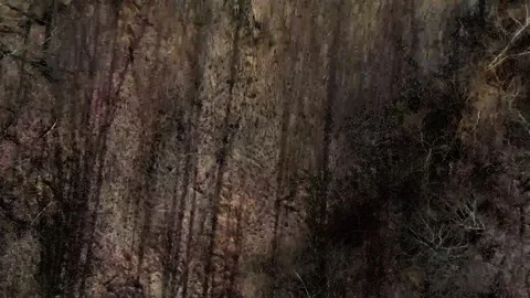 Top down aerial view of a brown spring nature scene in a public park in Mar.. 스톡 동영상 244217684