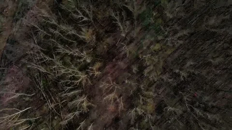 Top down aerial view of a brown spring nature scene in a public park in Mar.. 스톡 동영상 244217727