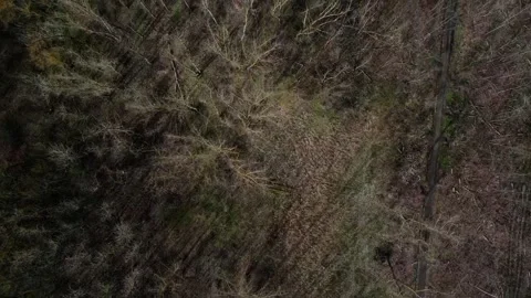 Top down aerial view of a brown spring nature scene in a public park in Mar.. 스톡 동영상 244217815