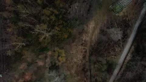 Top down aerial view of a brown spring nature scene in a public park in Mar.. 스톡 동영상 244217953