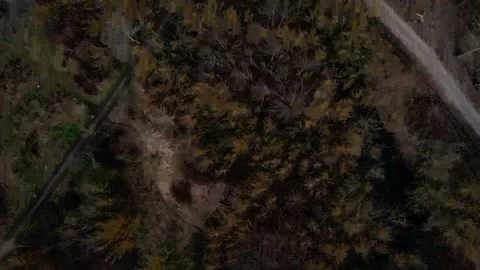 Top down aerial view of a brown spring nature scene in a park in Marzahn He.. 스톡 동영상 244219900