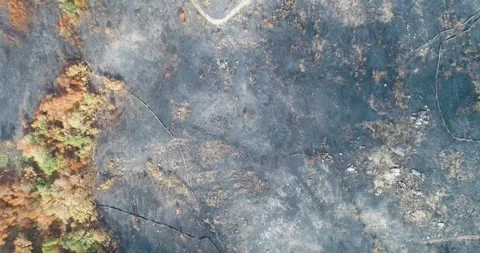 Top down aerial view of burnt ground and dirt path The Concept of Devastation Stock-Footage 327234022