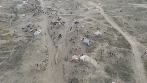 Top-Down Aerial View of Camels and Tents at Pushkar Cattle Fair Stock-Footage 321523016