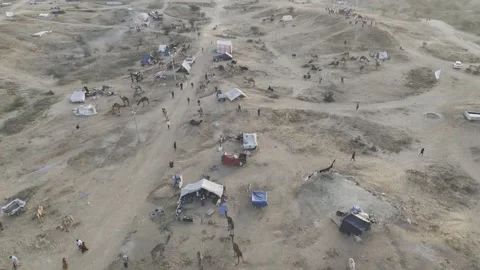 Top-Down Aerial View of Camels and Tents at Pushkar Cattle Fair Stock-Footage 321523071