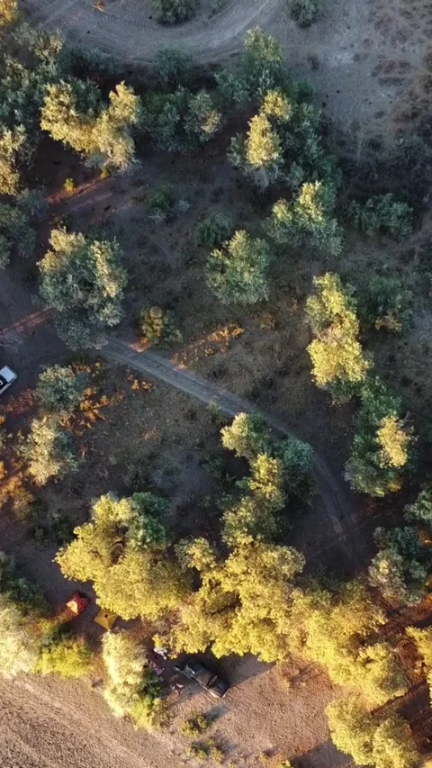 Top down aerial view of campsite with tents and 4x4 car in riverside forest Stock Footage 336687154